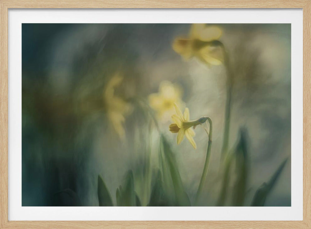 In the morning | Poster