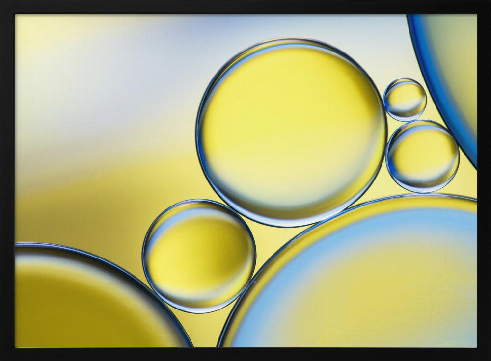 Oil and water | Poster