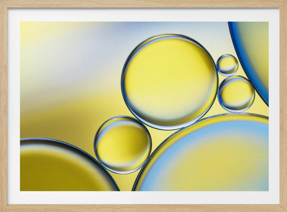 Oil and water | Poster