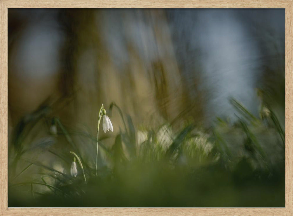 Almost alone... | Poster