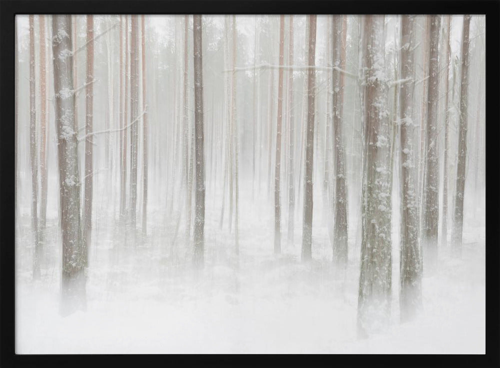 Winterforest in Sweden | Poster