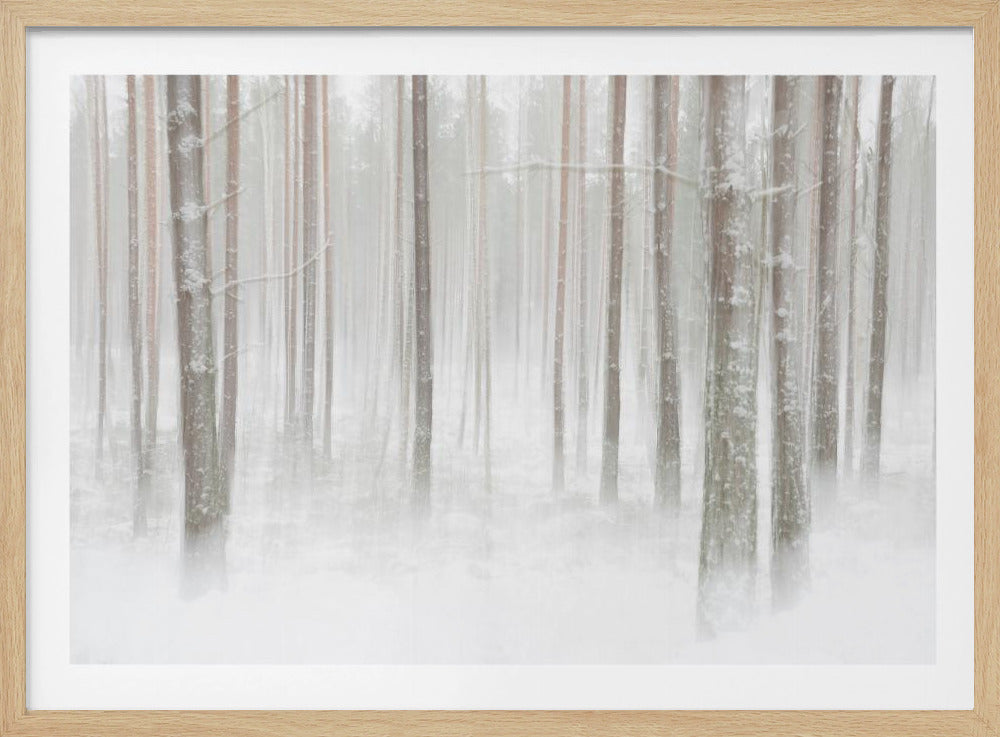 Winterforest in Sweden | Poster