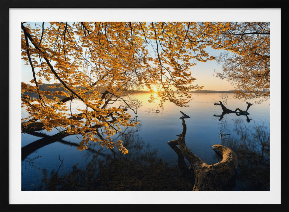 Autumn Morning | Poster