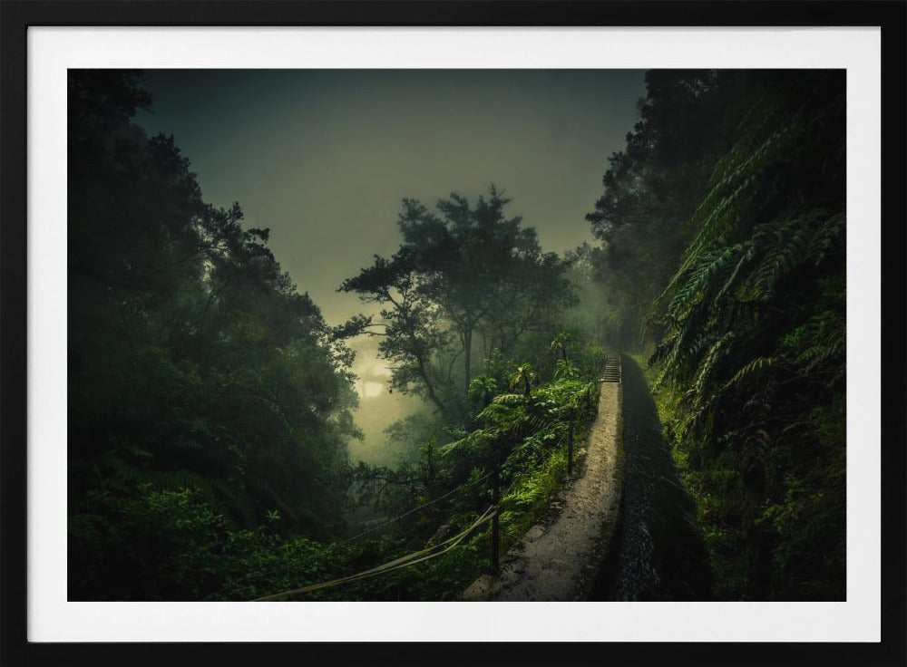 Levada Walk | Poster