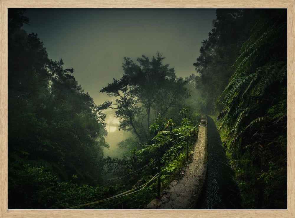 Levada Walk | Poster