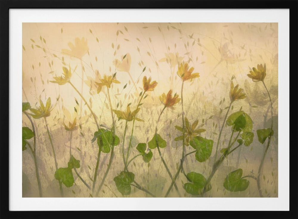 Sunny flowers | Poster