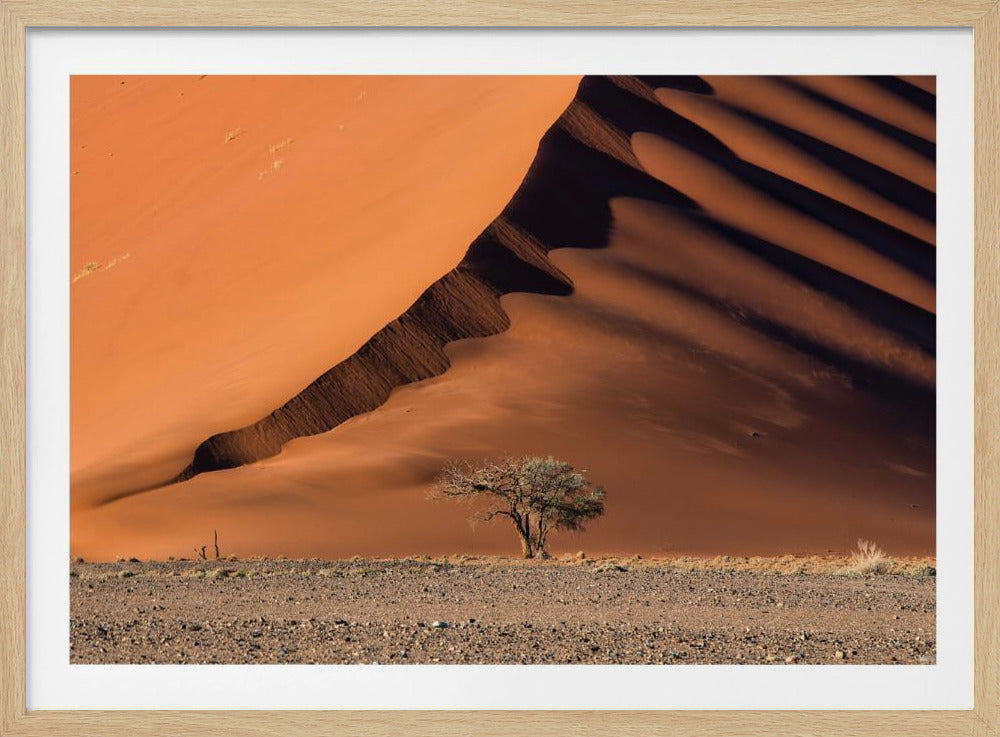 The dune and the tree | Poster