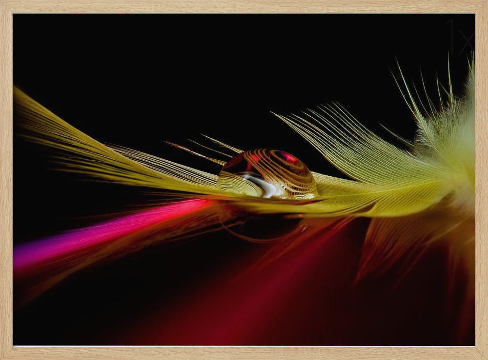 Colors in the drop | Poster