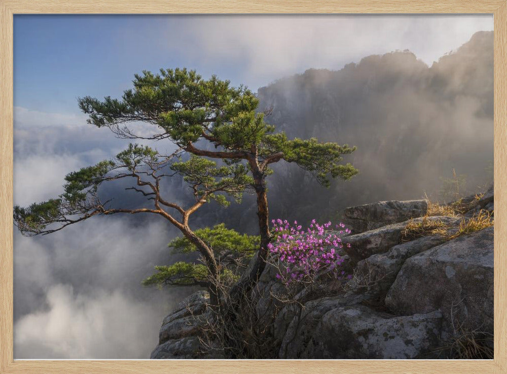 Dream dancer | Poster