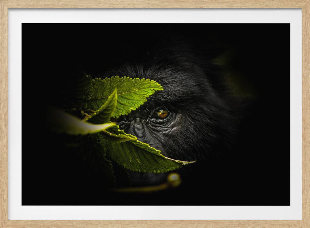 Keeping secrets | Poster