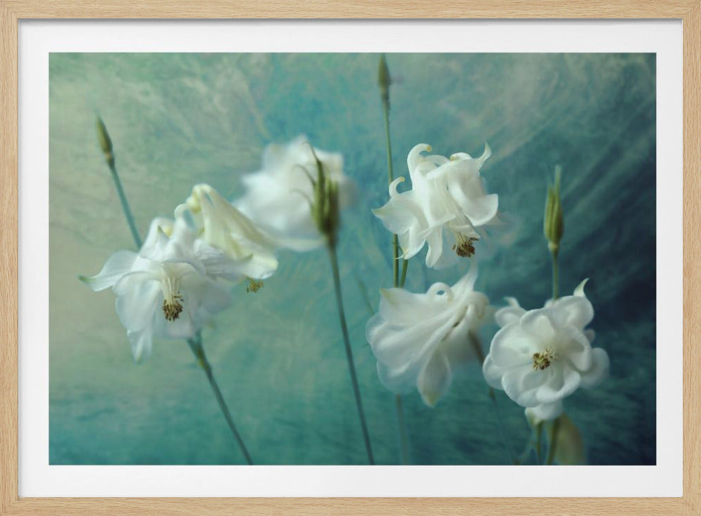 Crowns of Thorns | Poster