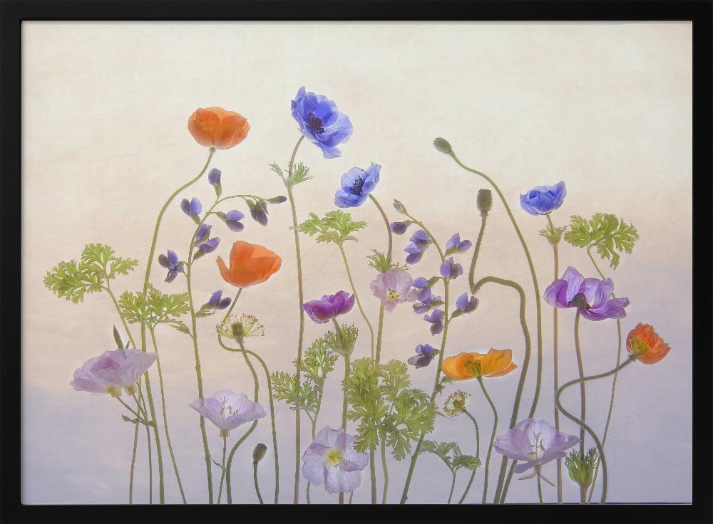 Spring Melody | Poster