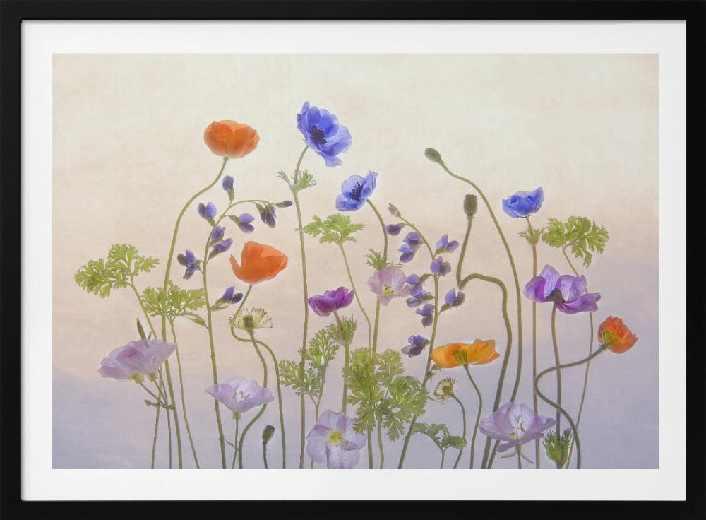 Spring Melody | Poster