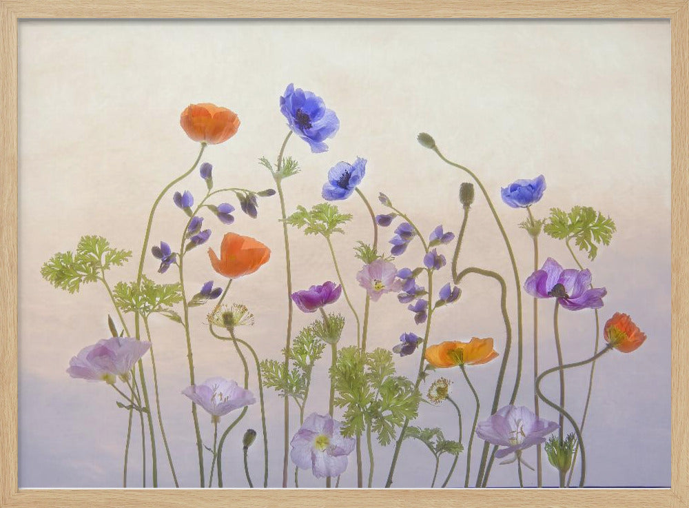 Spring Melody | Poster