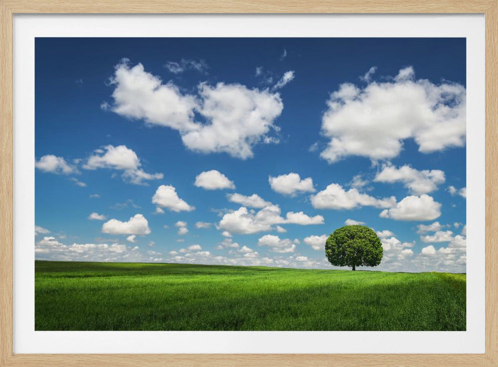 Lonely Tree | Poster