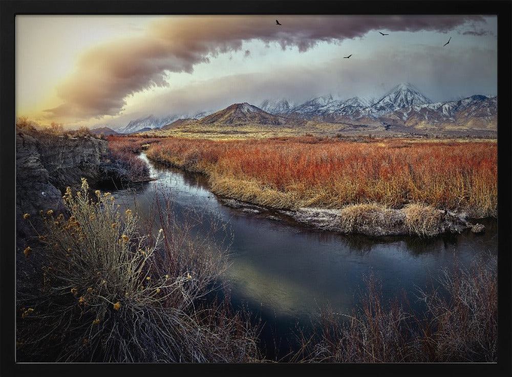 Owens River at Sunrise | Poster