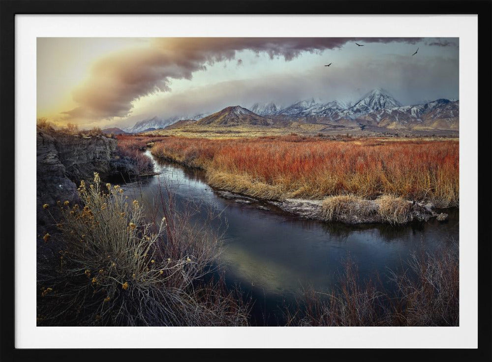 Owens River at Sunrise | Poster