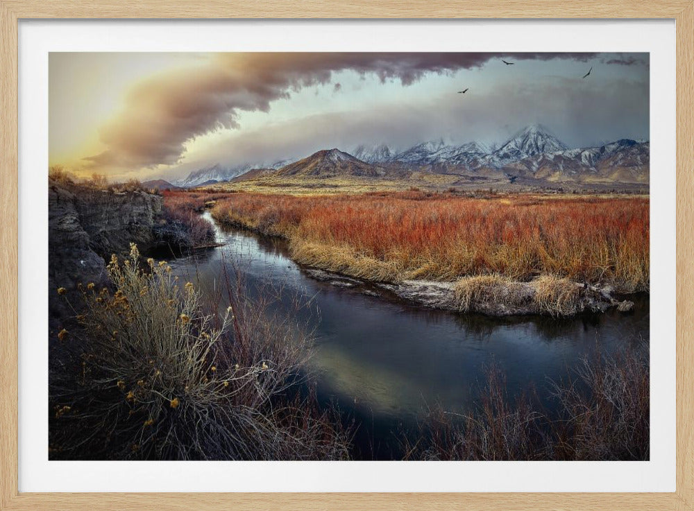 Owens River at Sunrise | Poster