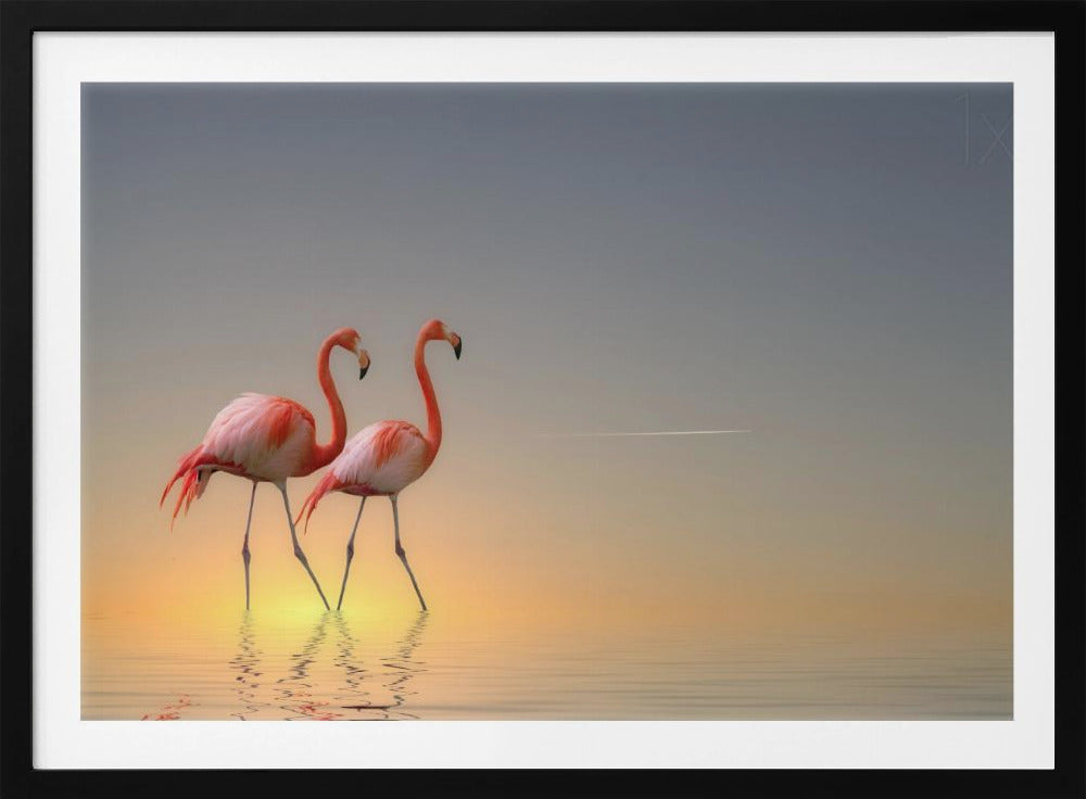 Serenity II | Poster