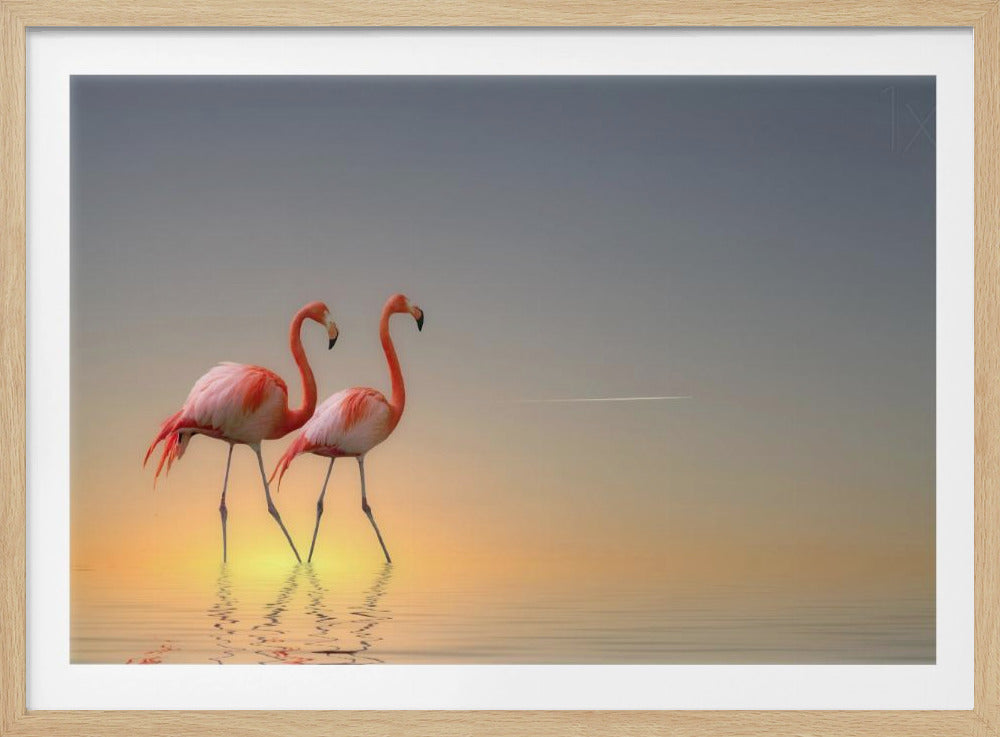 Serenity II | Poster