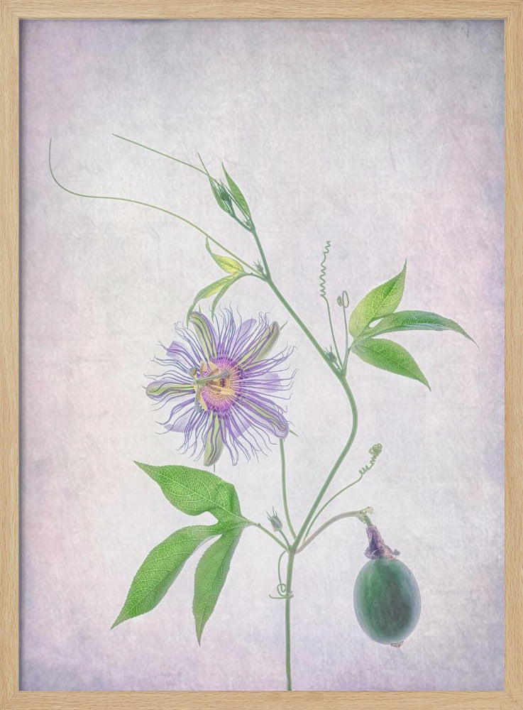 Passion Fruit | Poster