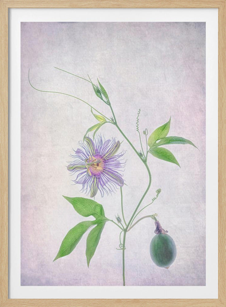 Passion Fruit | Poster