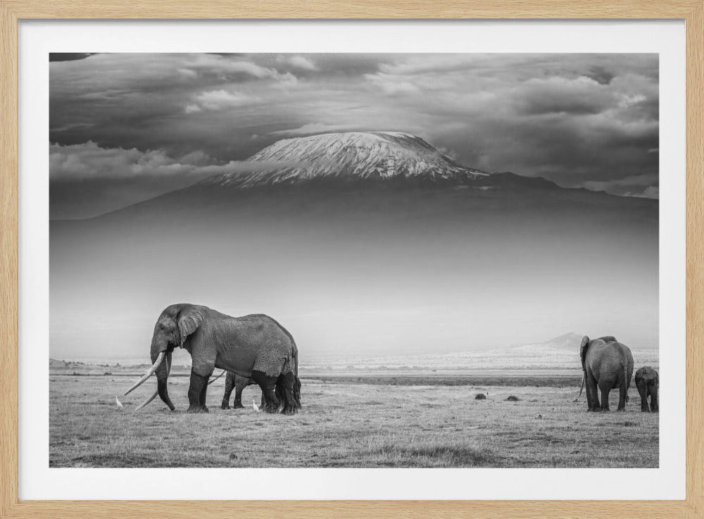 The land of giants | Poster