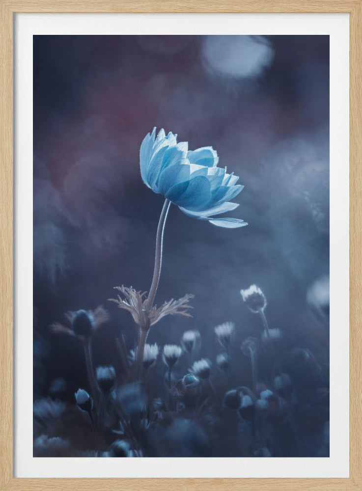 A short story of flower | Poster