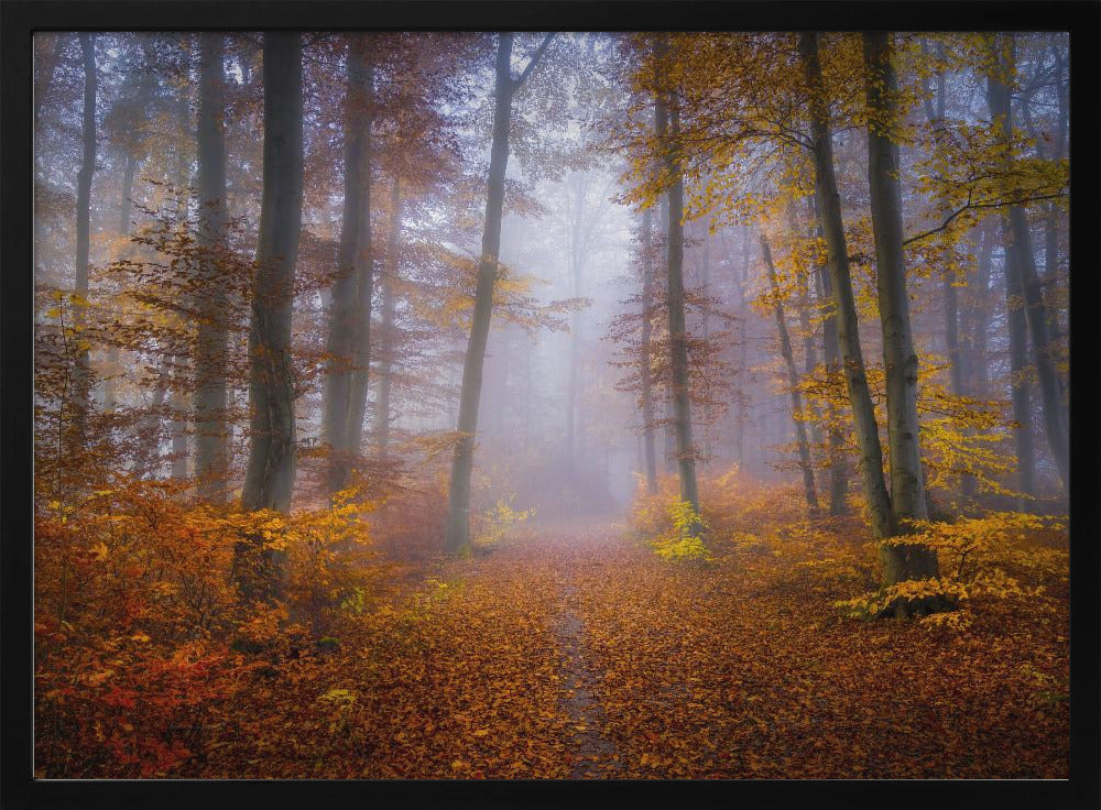 October Trail | Poster