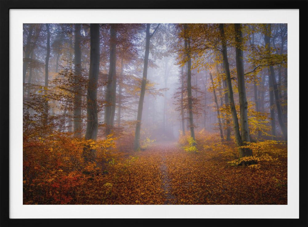 October Trail | Poster