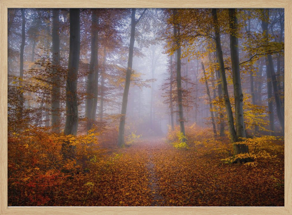 October Trail | Poster