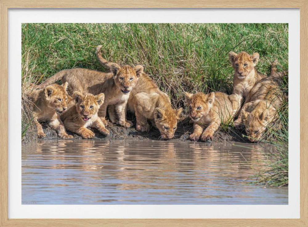 Putting the band back together.... | Poster