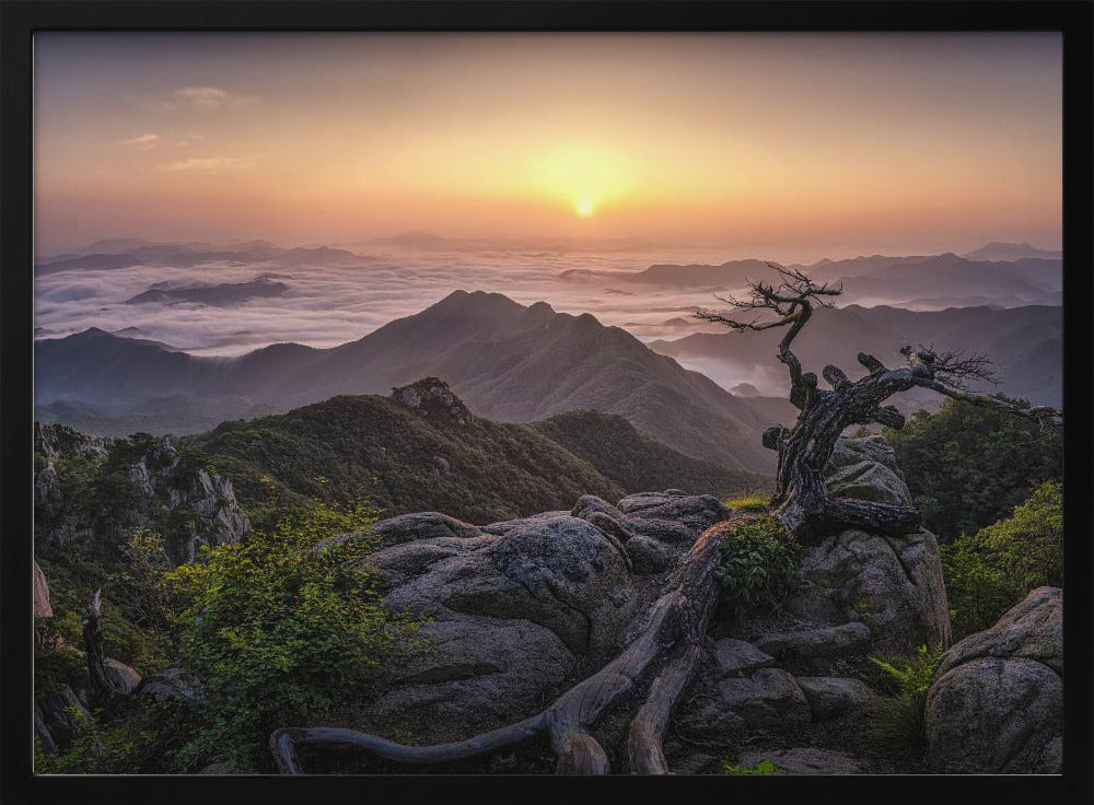 Sunrise on Top | Poster