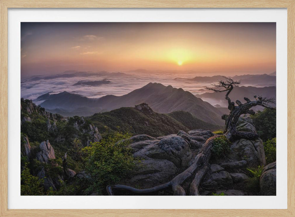 Sunrise on Top | Poster