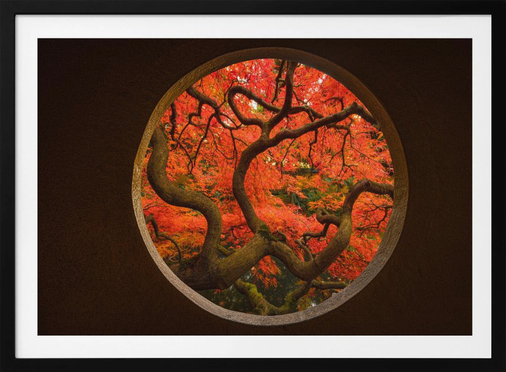 Autumn Sense | Poster