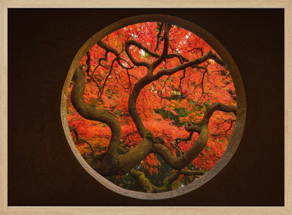 Autumn Sense | Poster