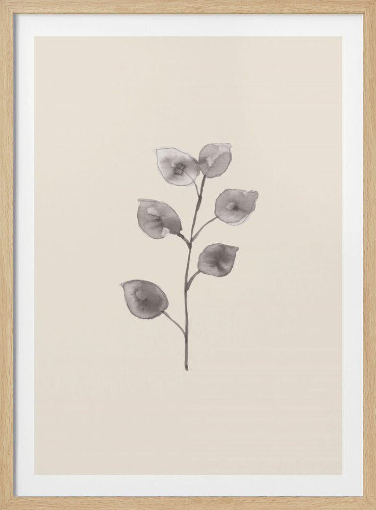 Eucalyptus Twig | Poster