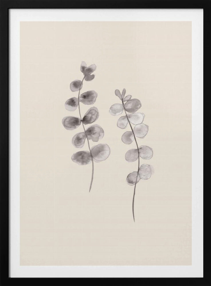 Eucalyptus Twigs | Poster