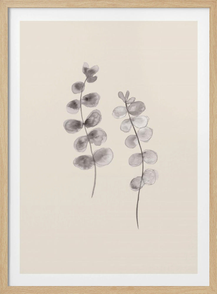 Eucalyptus Twigs | Poster