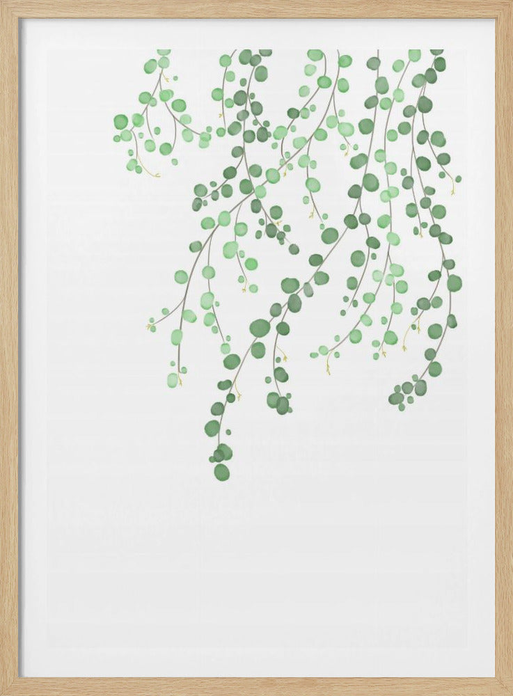 Birch Tree | Poster