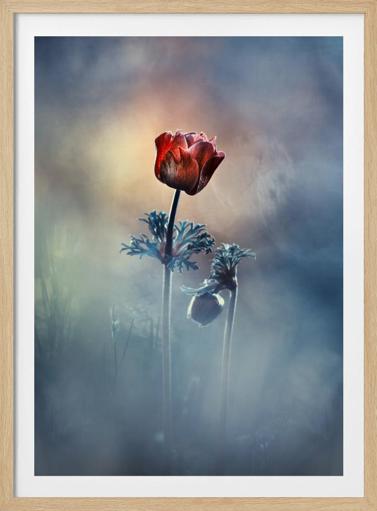 Where poetry and memories remain | Poster