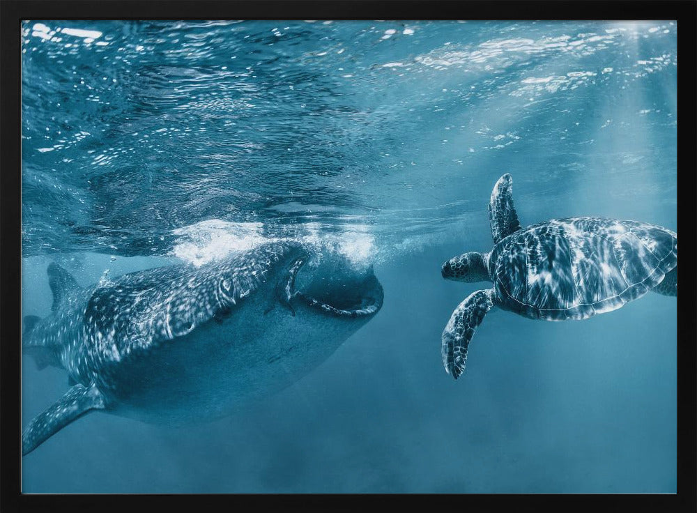 Once at the ocean | Poster