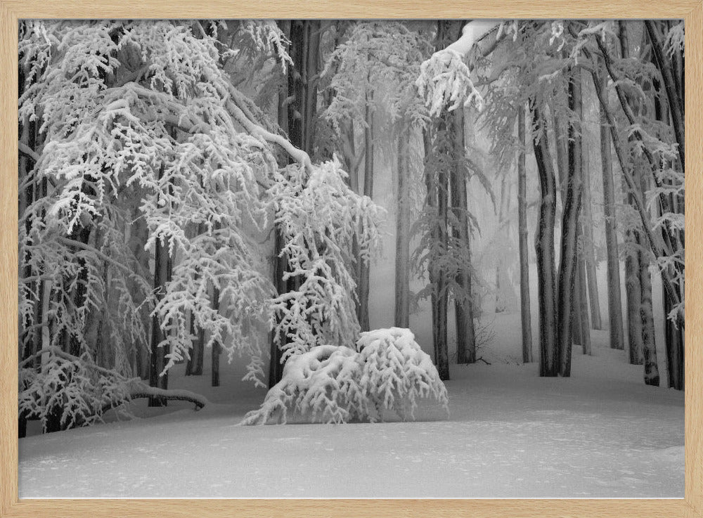 Perfect Winter | Poster