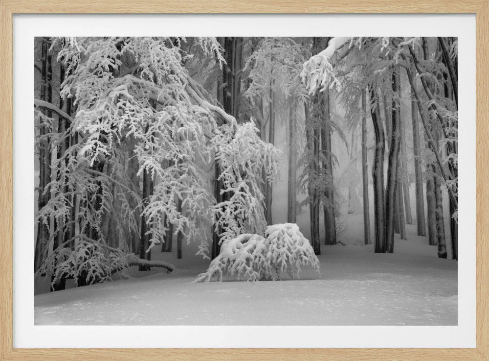 Perfect Winter | Poster