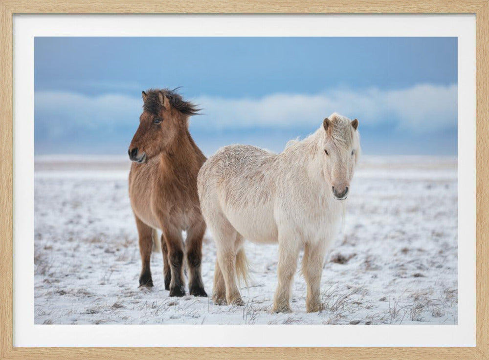 B R O T H E R S | Poster