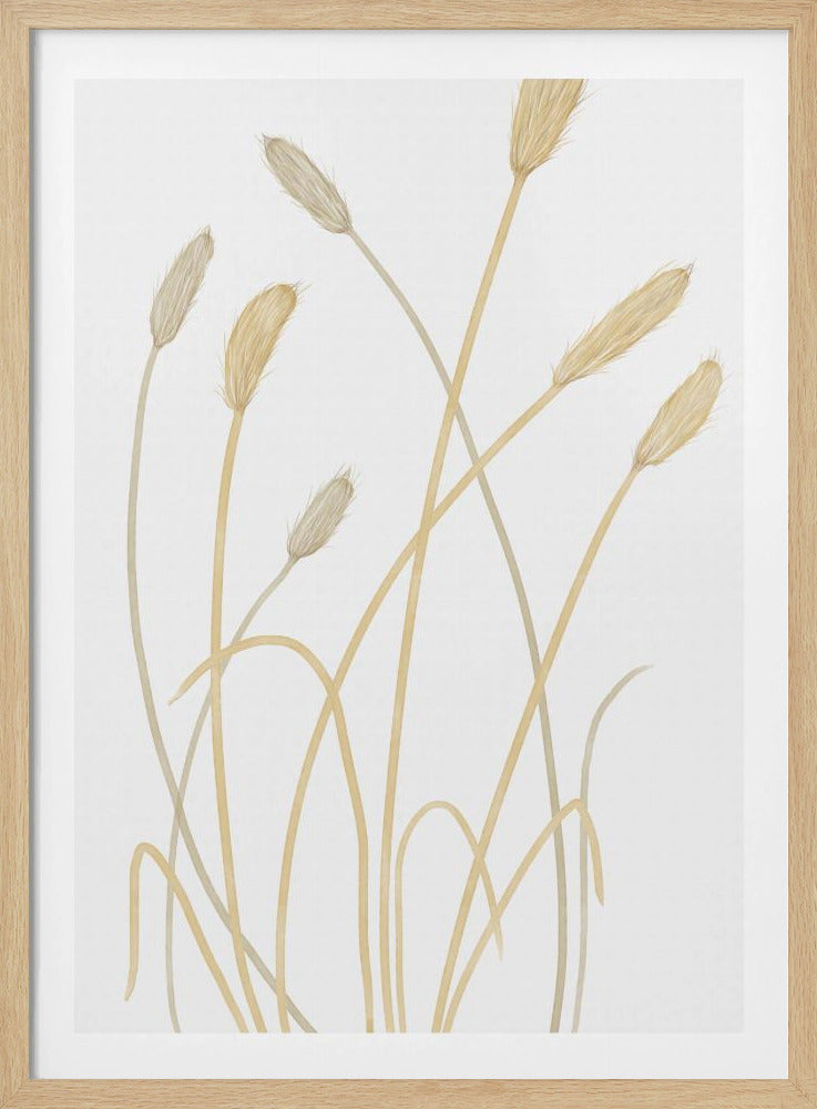 Bunny Grass 01 | Poster