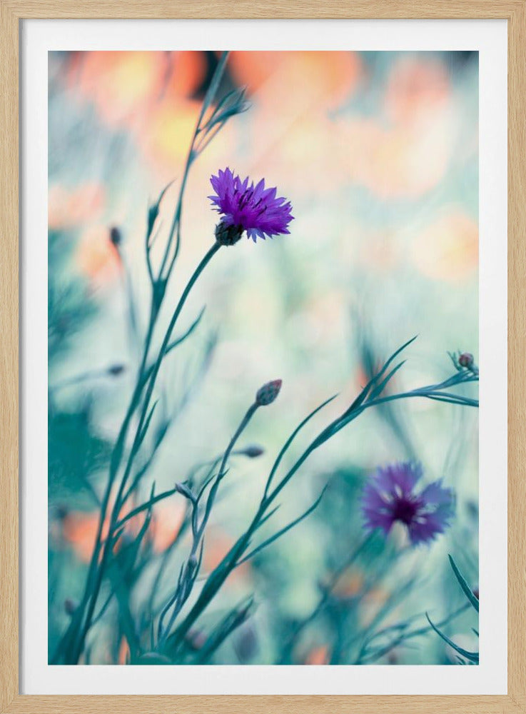 Colors game 2 | Poster