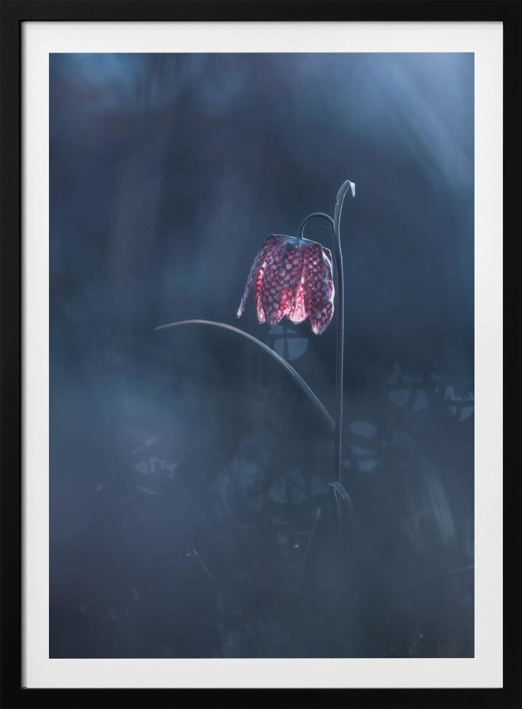 Ephemeral Fantasy | Poster