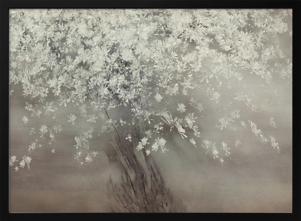 Stars of spring | Poster