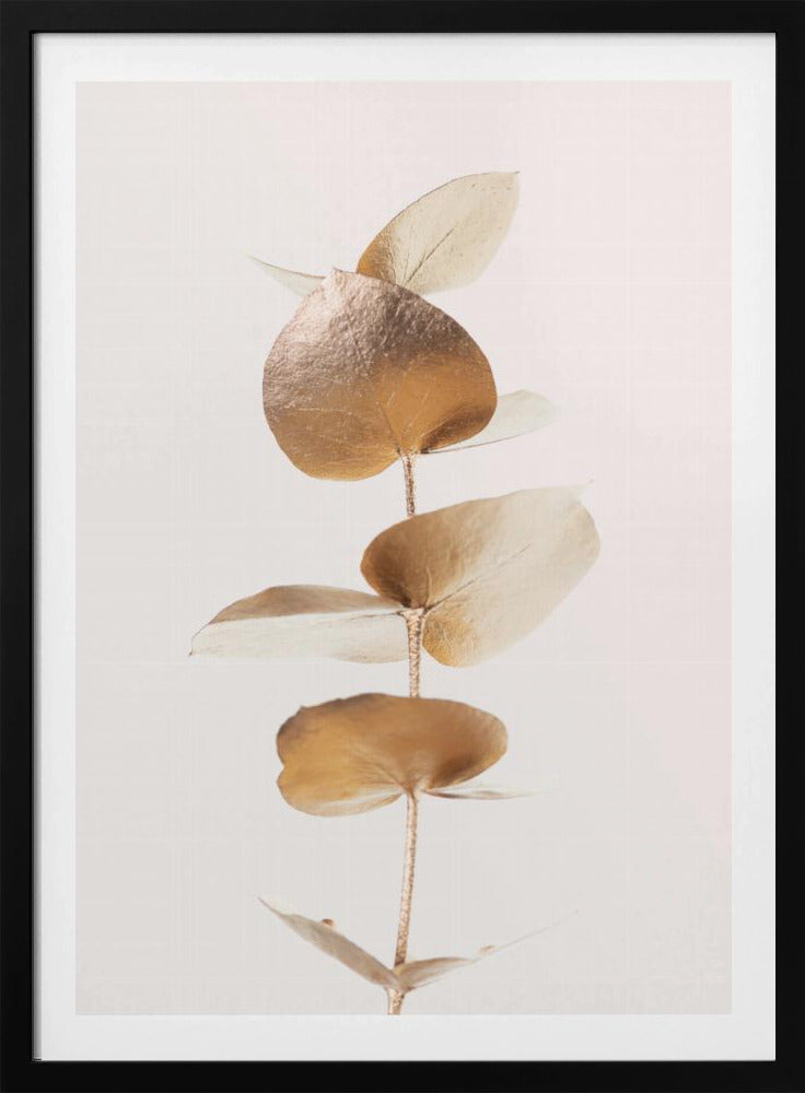 Eucalyptus Gold No 06 | Poster